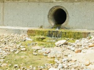 Standing water covers a low coastal yard as high tidal water prevents the property drainage outlet from releasing runoff.